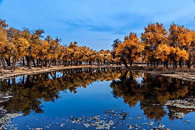 Steam最新一周销量榜 Steam Deck登顶四连冠